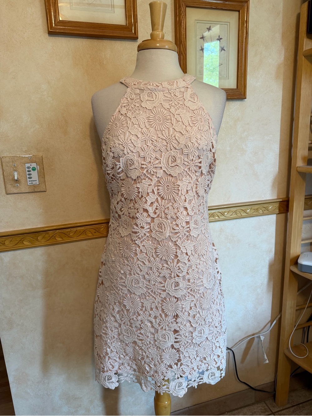Lulu's Blush Lace Halter Mini Dress